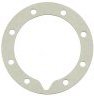 Backing Plate Gasket
