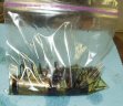 Pistons in Baggie
