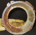 Adjuster Shell