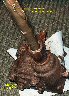Column Removed