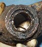 Bottom Seal