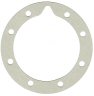 Oil Seal To Backing Plate Gasket