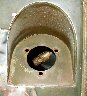 Fuel Filler Panel