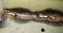 Seam