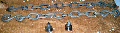 Tailgate Chains and anchors