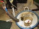 De-Rusting Springs