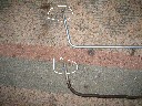 Comparing Ferrules