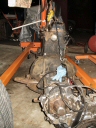 Ready to Pull Tranny