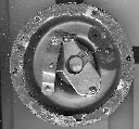 Horn Gasket