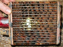 Cleaned Heater Core