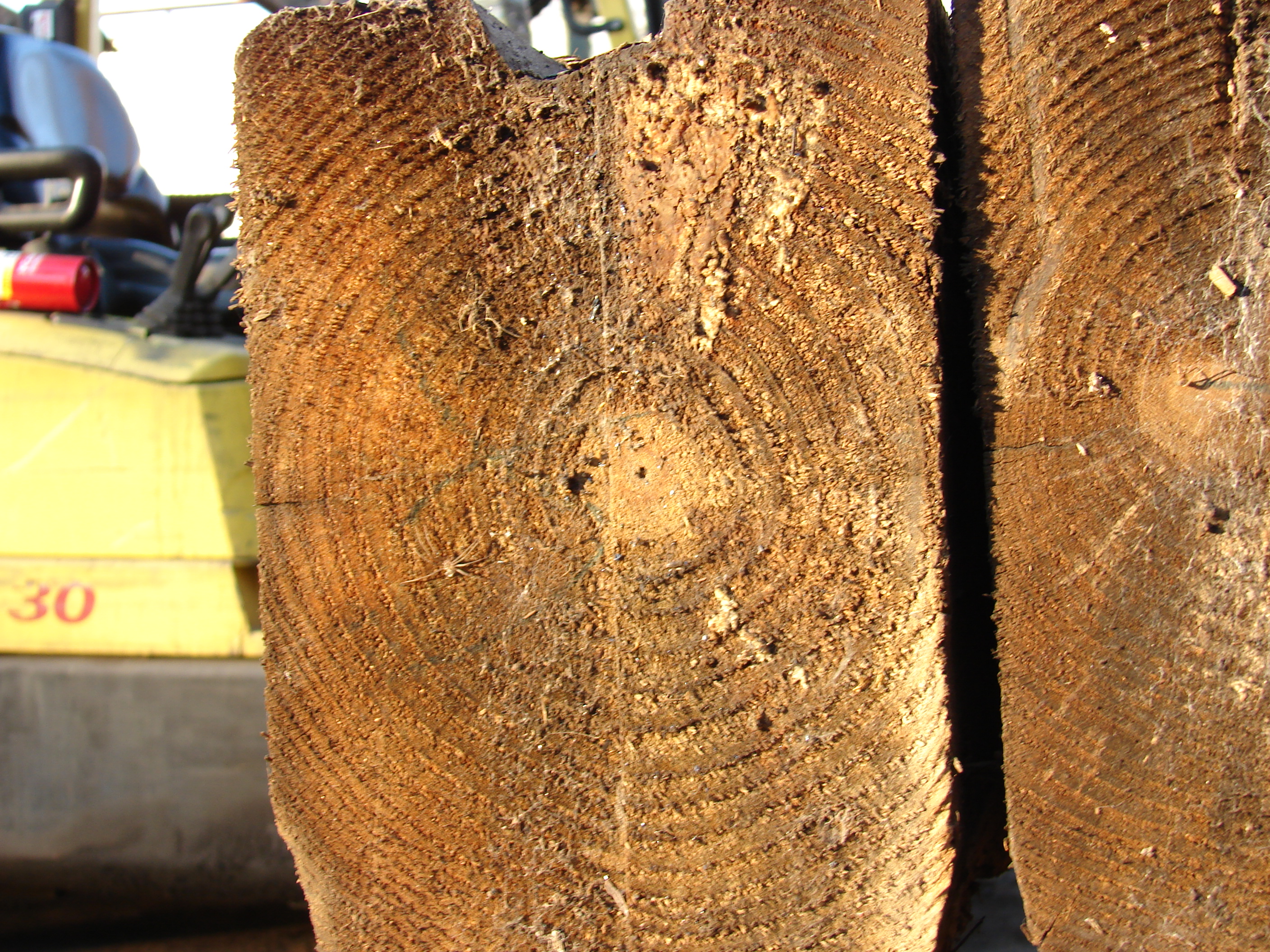 End view of 8 x 12 beam 040.jpg